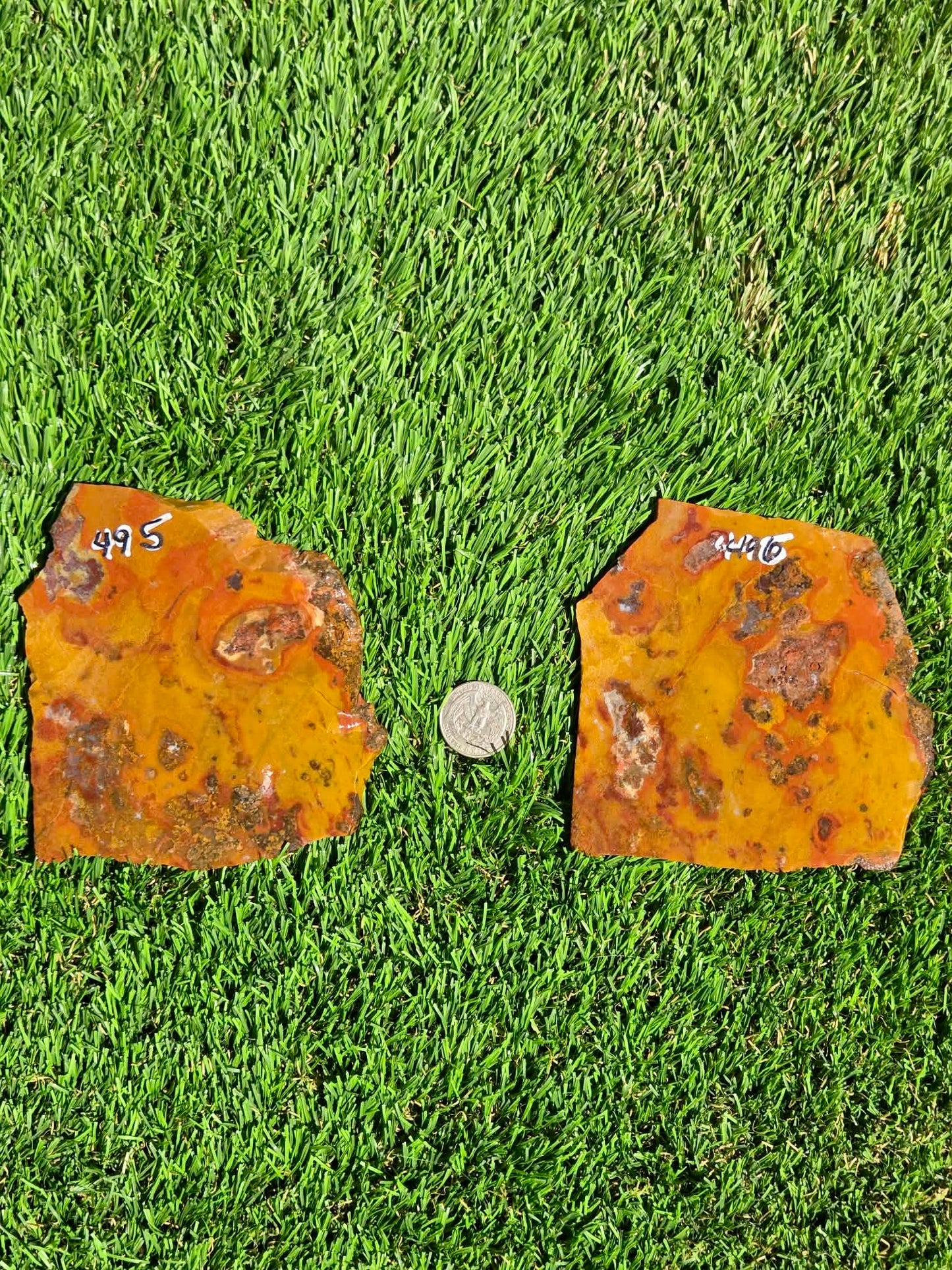 Arizona Jasper Agate Slabs J495-496