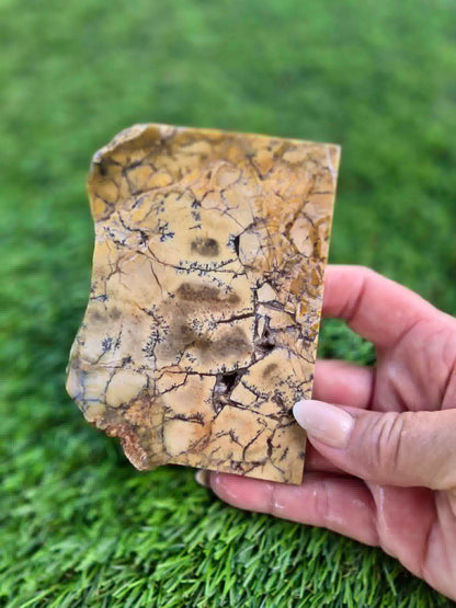 Dendritic Jasper Slabs G335-337