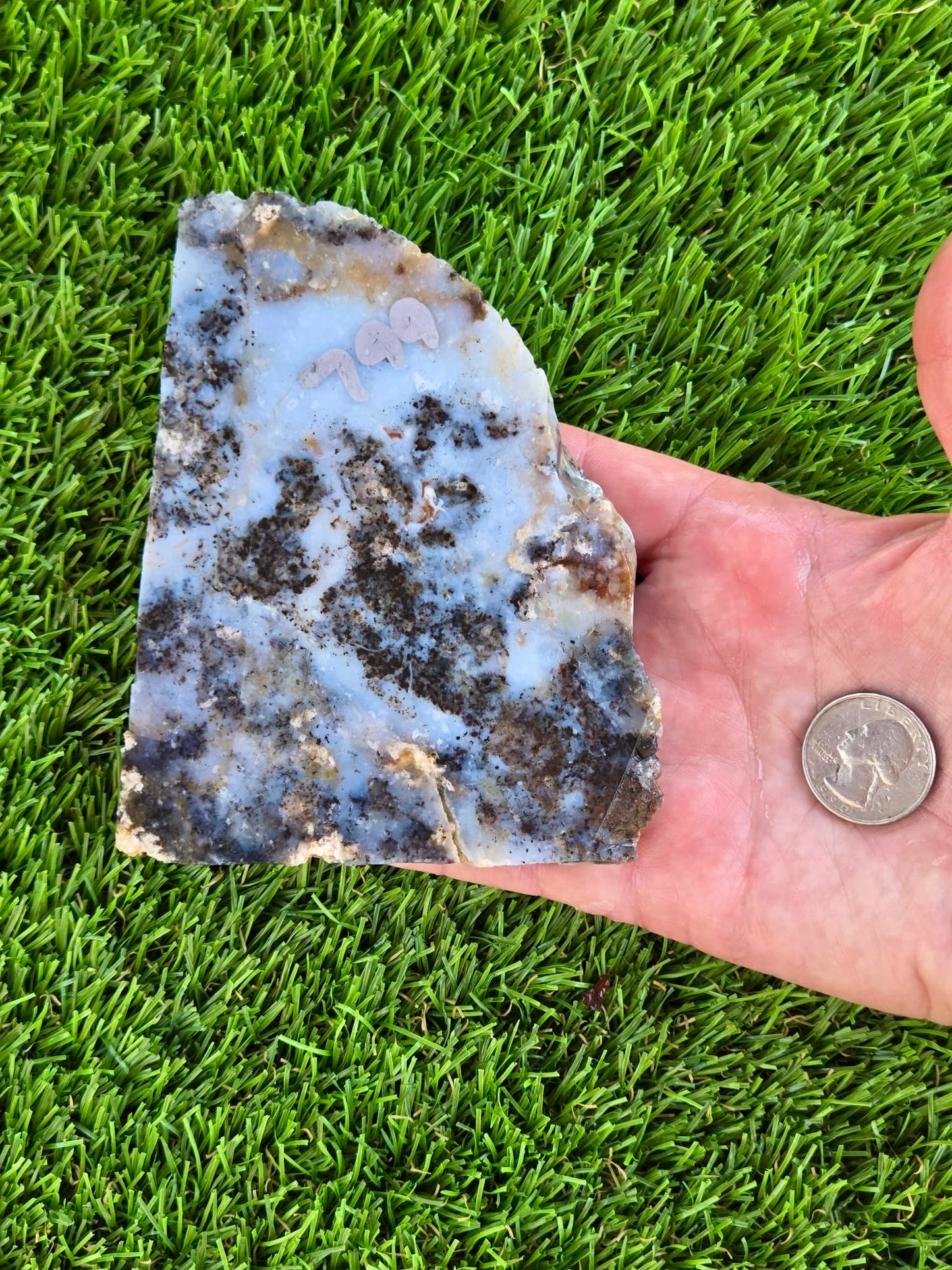 Moss Agate with Dendritic Inclusions Slabs Q799–800