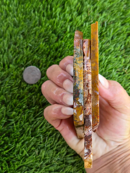 Golden Brecciated Jasper with Agate Veins M596-598