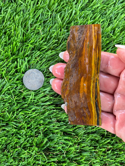 Golden Tiger’s Eye Slabs N650-651