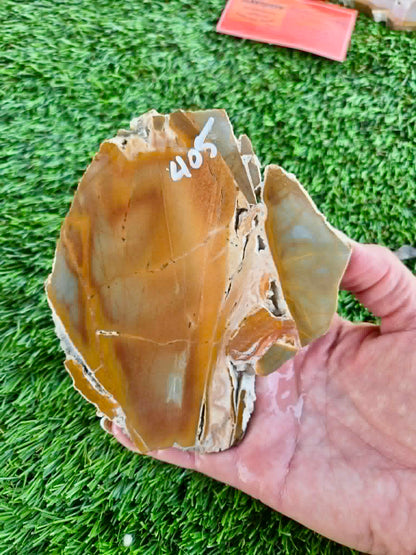 Golden Desert Jasper Slabs H405-408