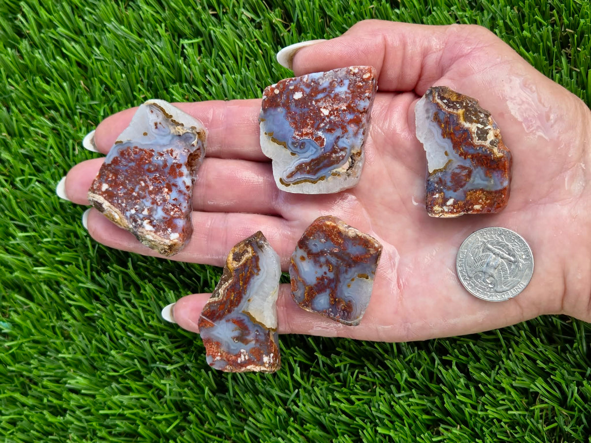 Camp Verde Agate Slab Bundle SB25