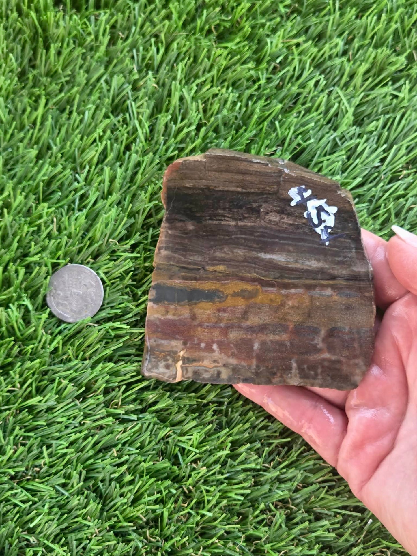Agatized Petrified Wood Slab I453-458