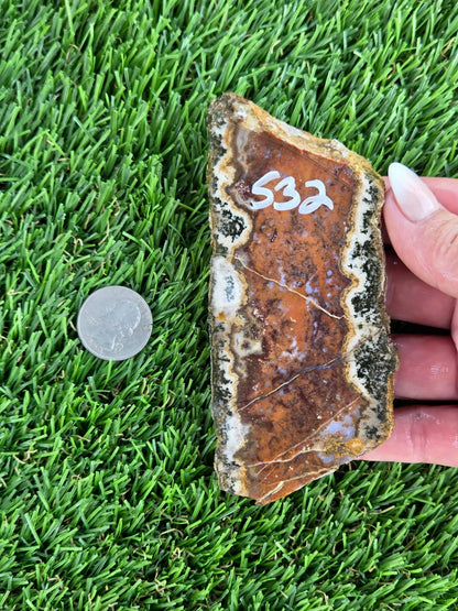 Chihuahua Lace Agate Slabs K530-533