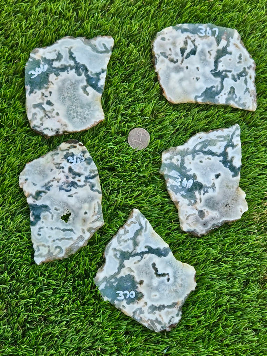 Moss Agate with Crystal Pockets Slabs H366-370