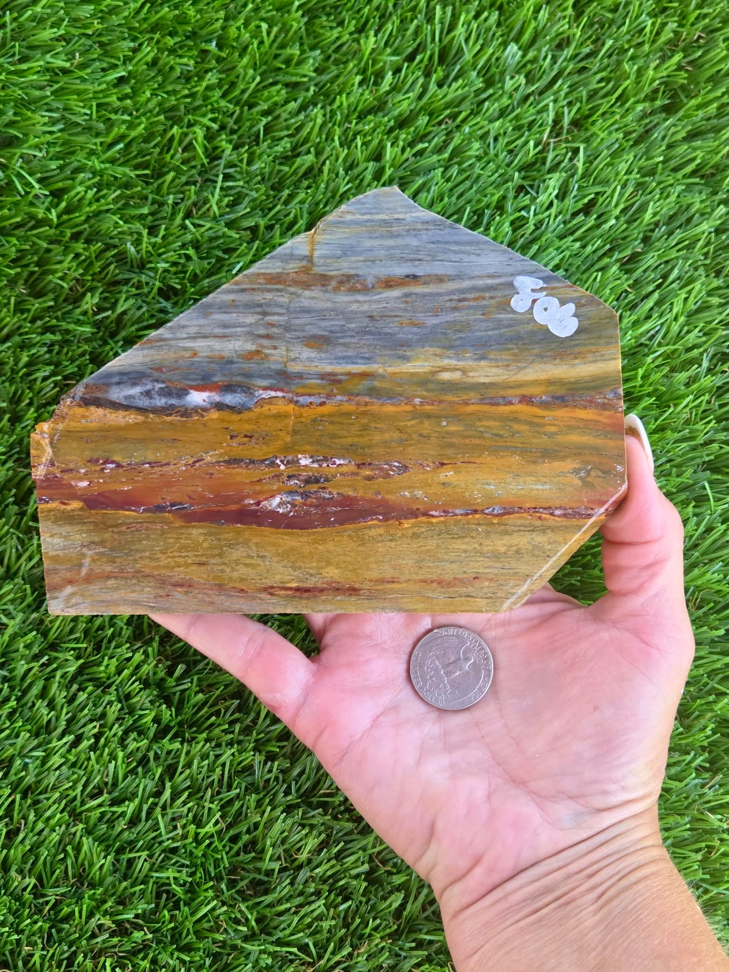 California Picture Jasper Slabs Q805–807