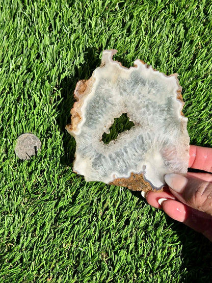 Natural Fortification Agate with Quartz Crystal Druzy Slabs M624-629