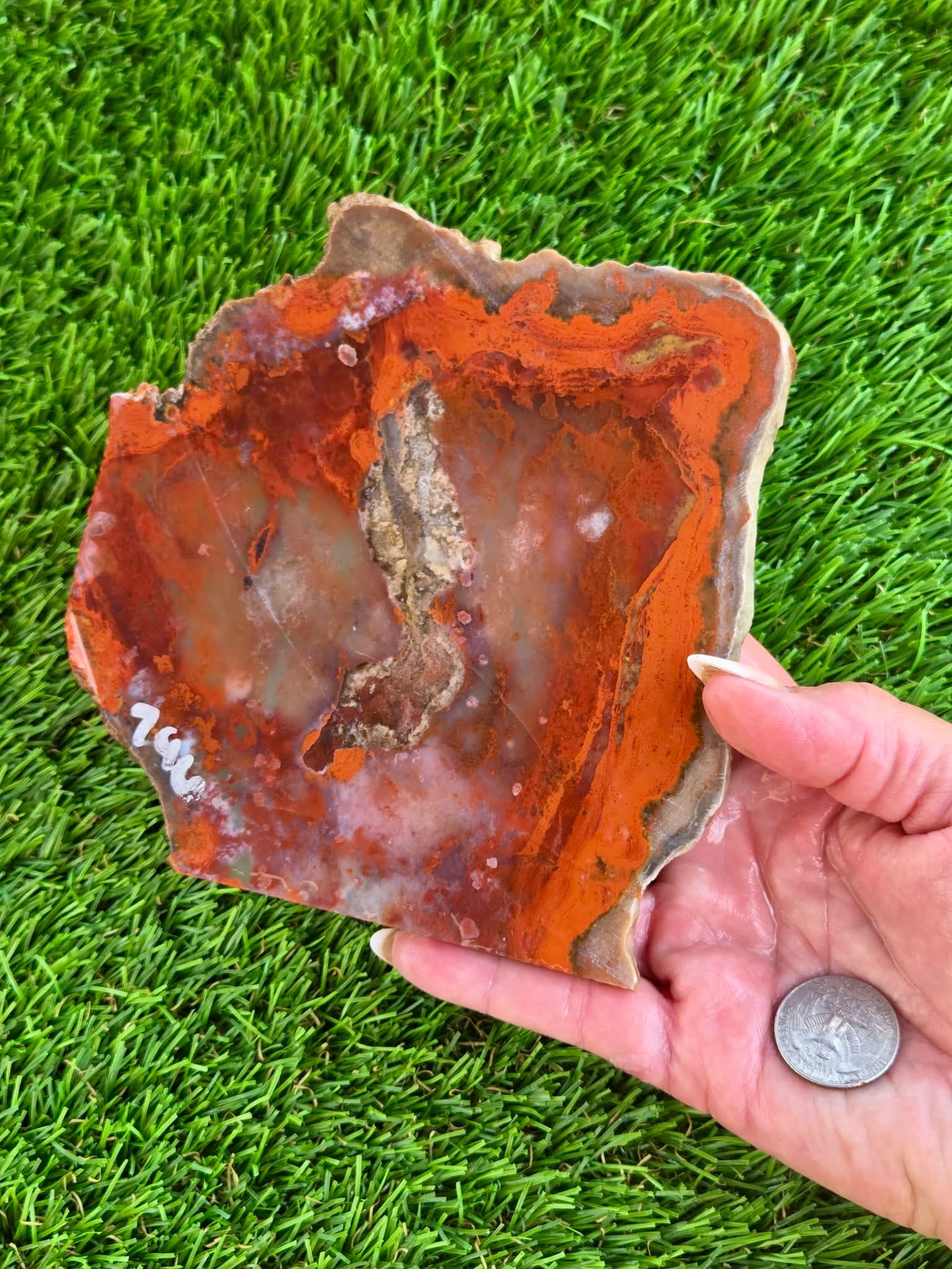 Red Carnelian Fortification Agate Slabs Q794–796