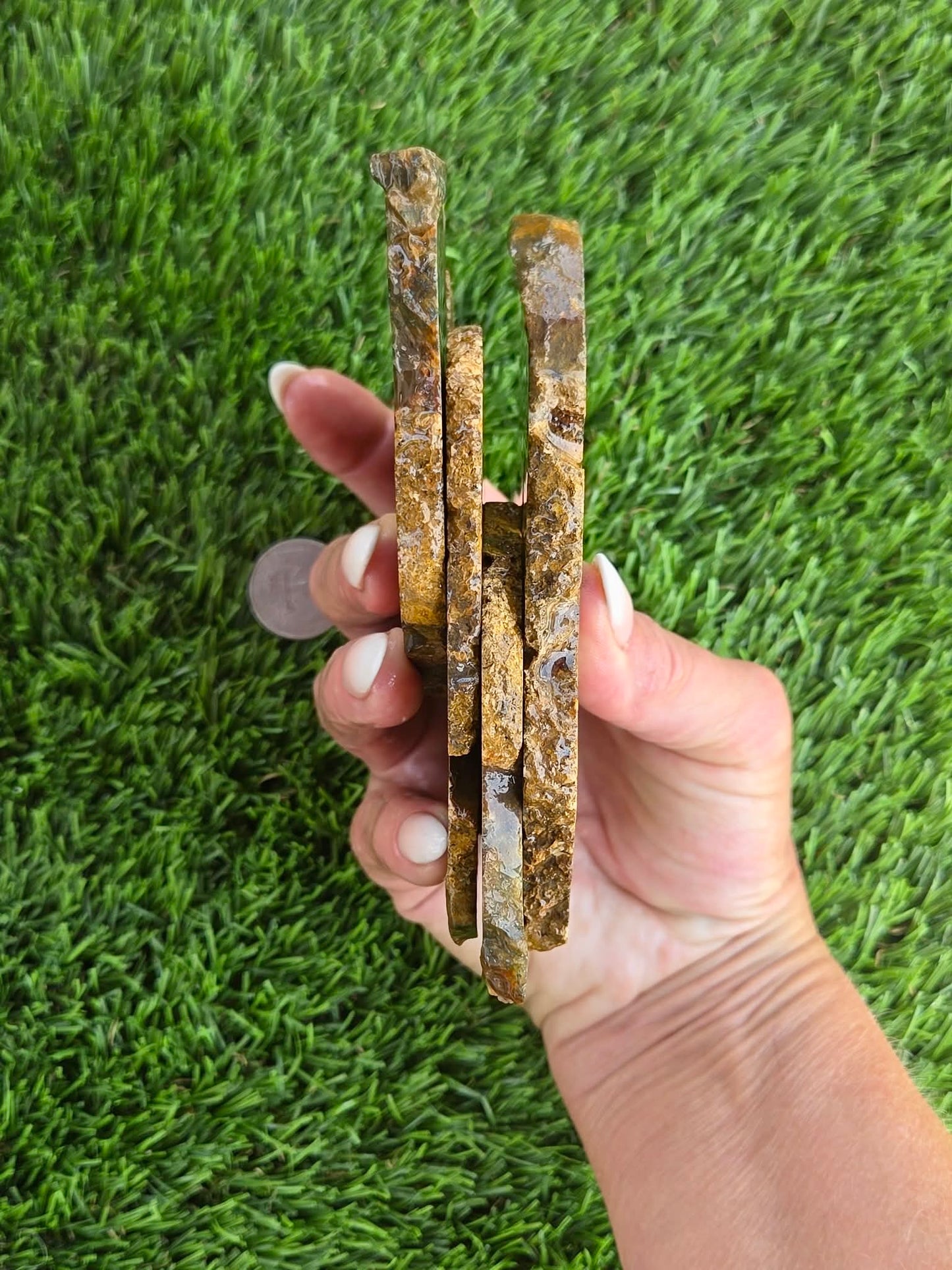Utah Petrified Wood Slabs J485-488