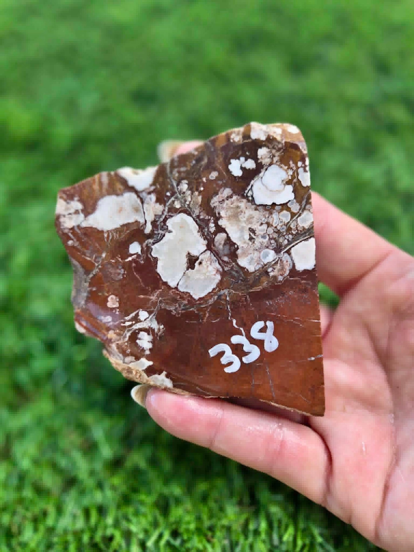 Wild Horse Jasper Slabs G338-341