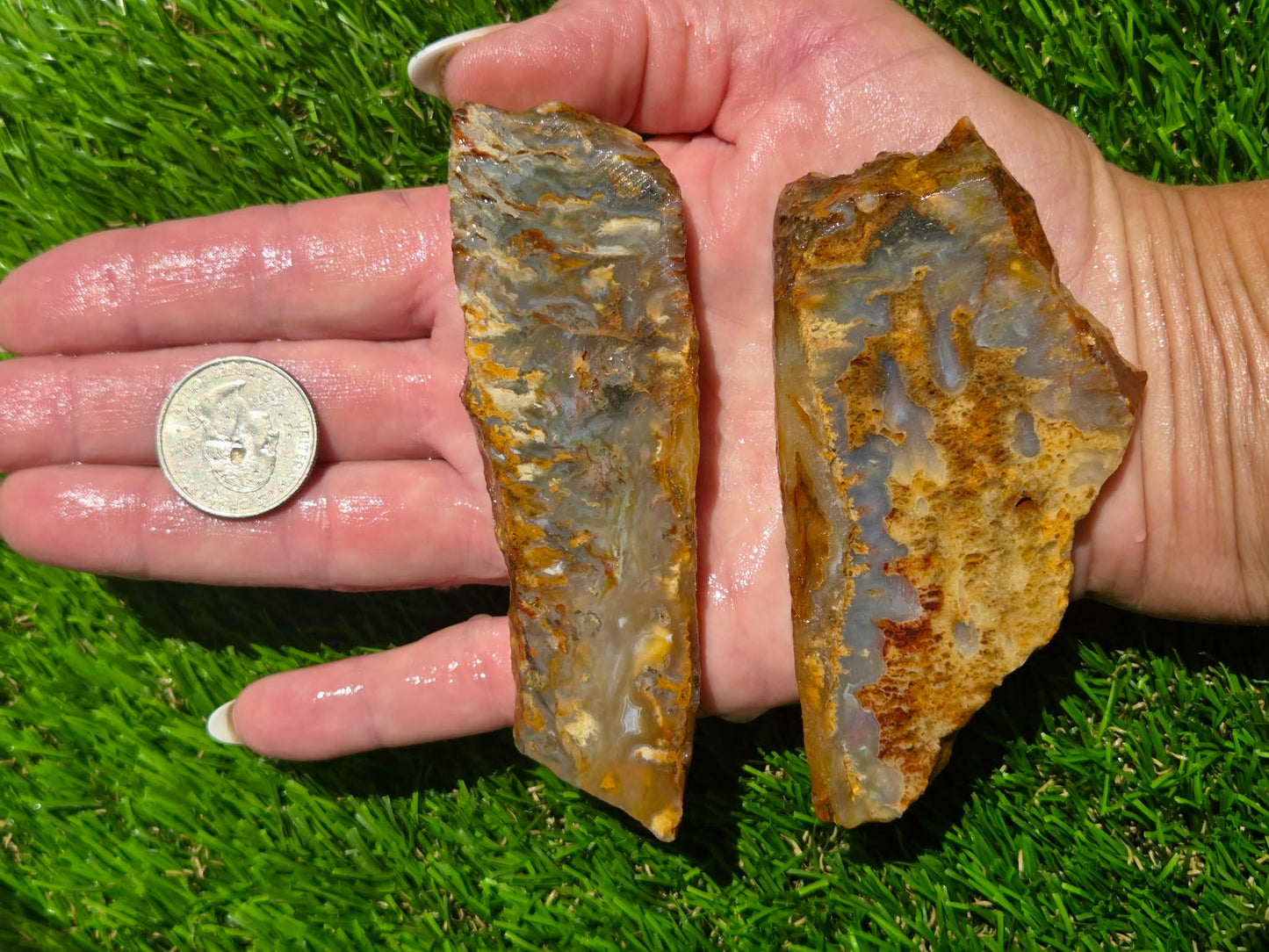 Graveyard Point Agate Slab Bundle – Oregon SB78