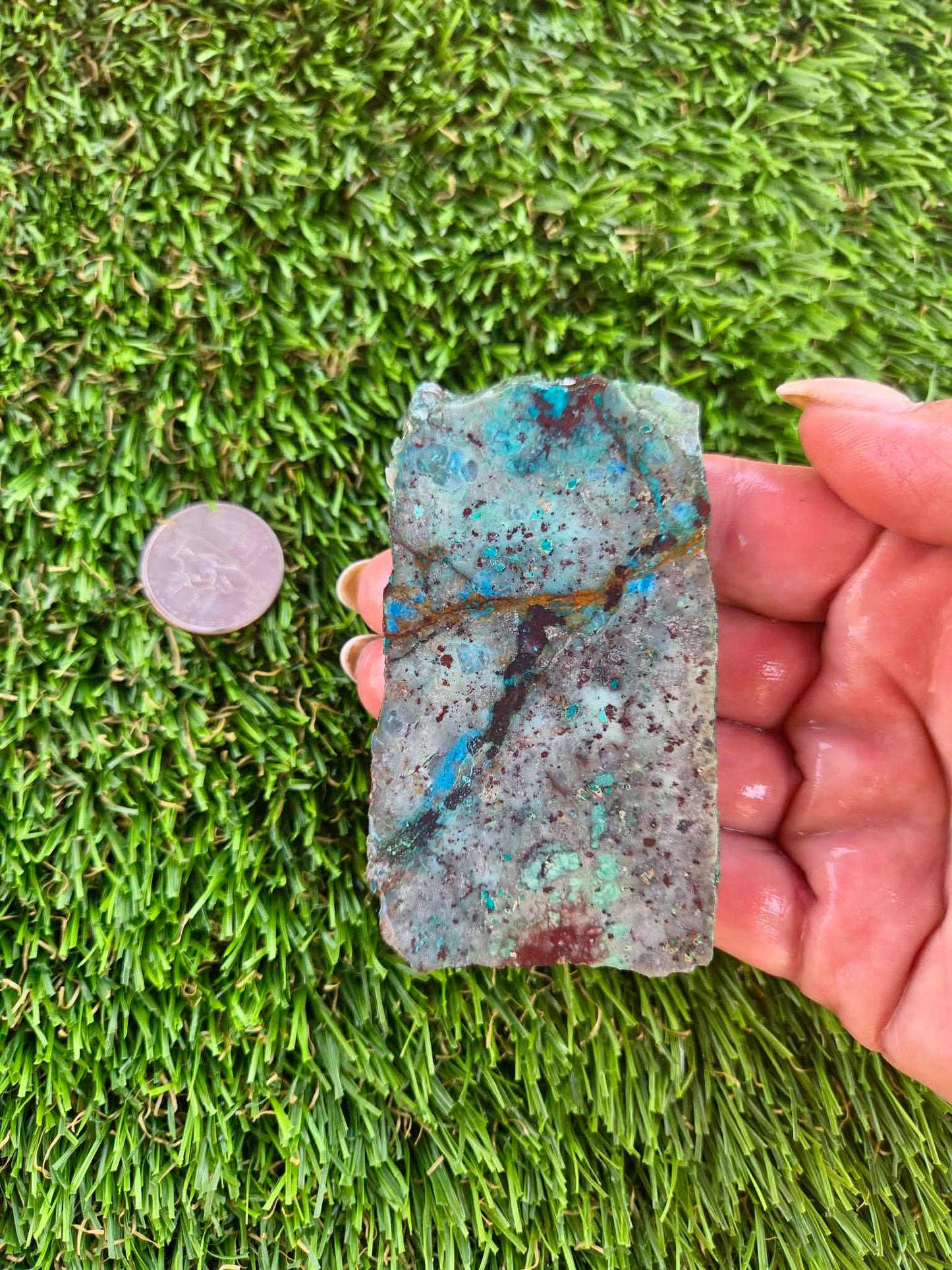 Shattuckite with Azurite & Malachite Slabs B113-119