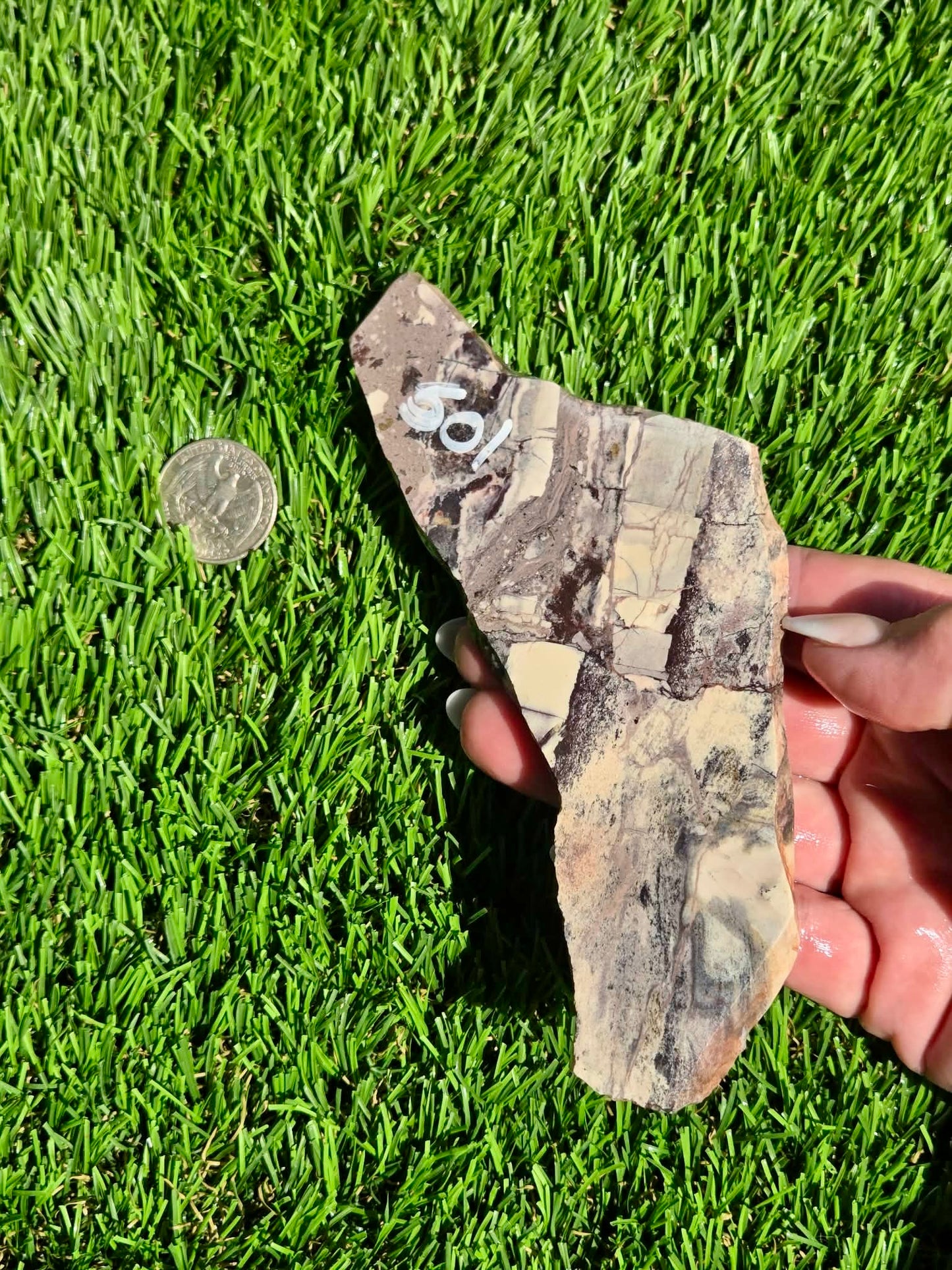 Picasso Jasper Slabs J497-502