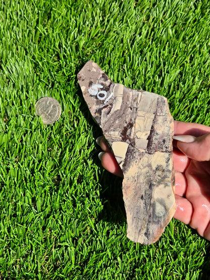Picasso Jasper Slabs J497-502