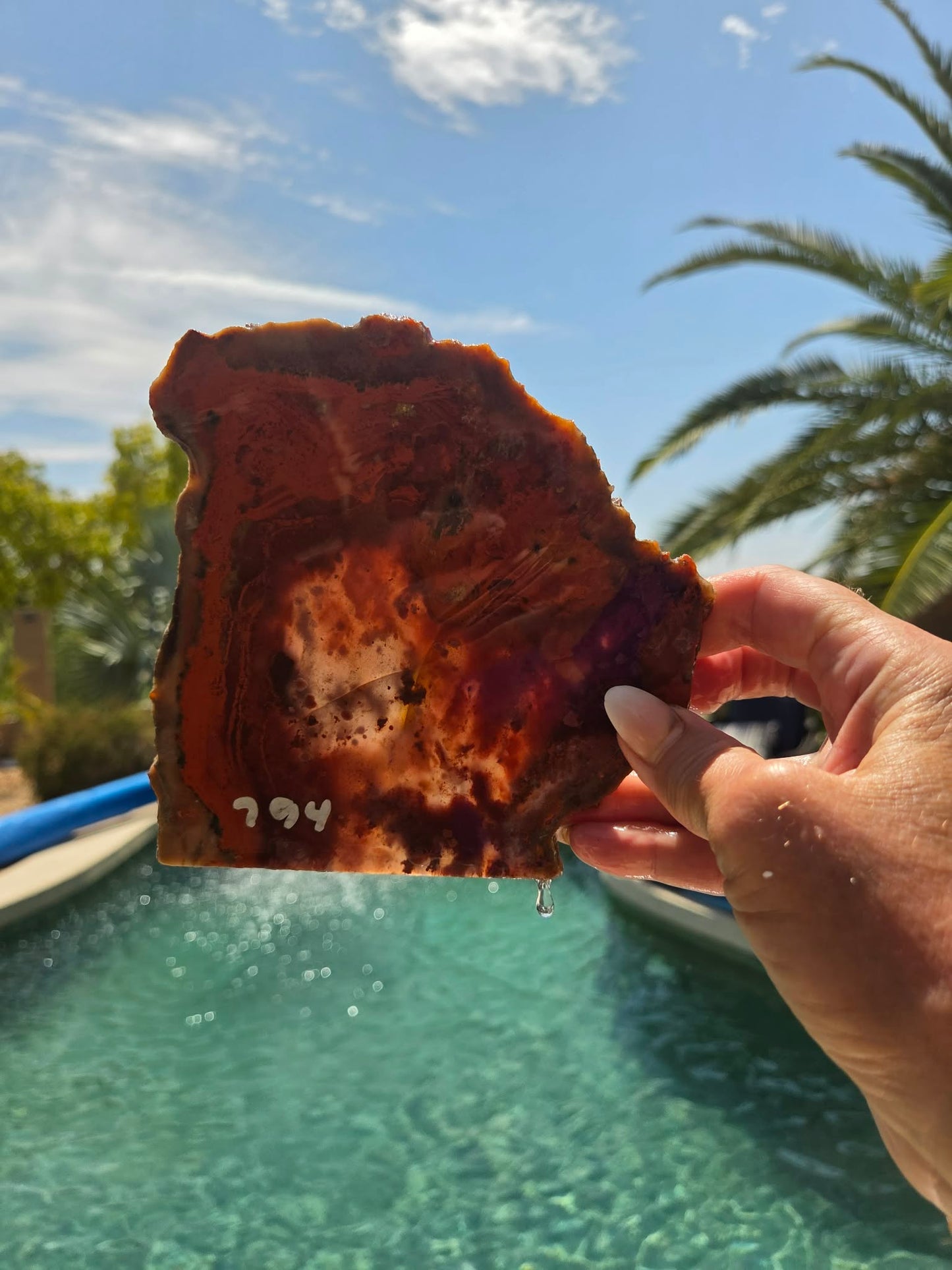 Red Carnelian Fortification Agate Slabs Q794–796