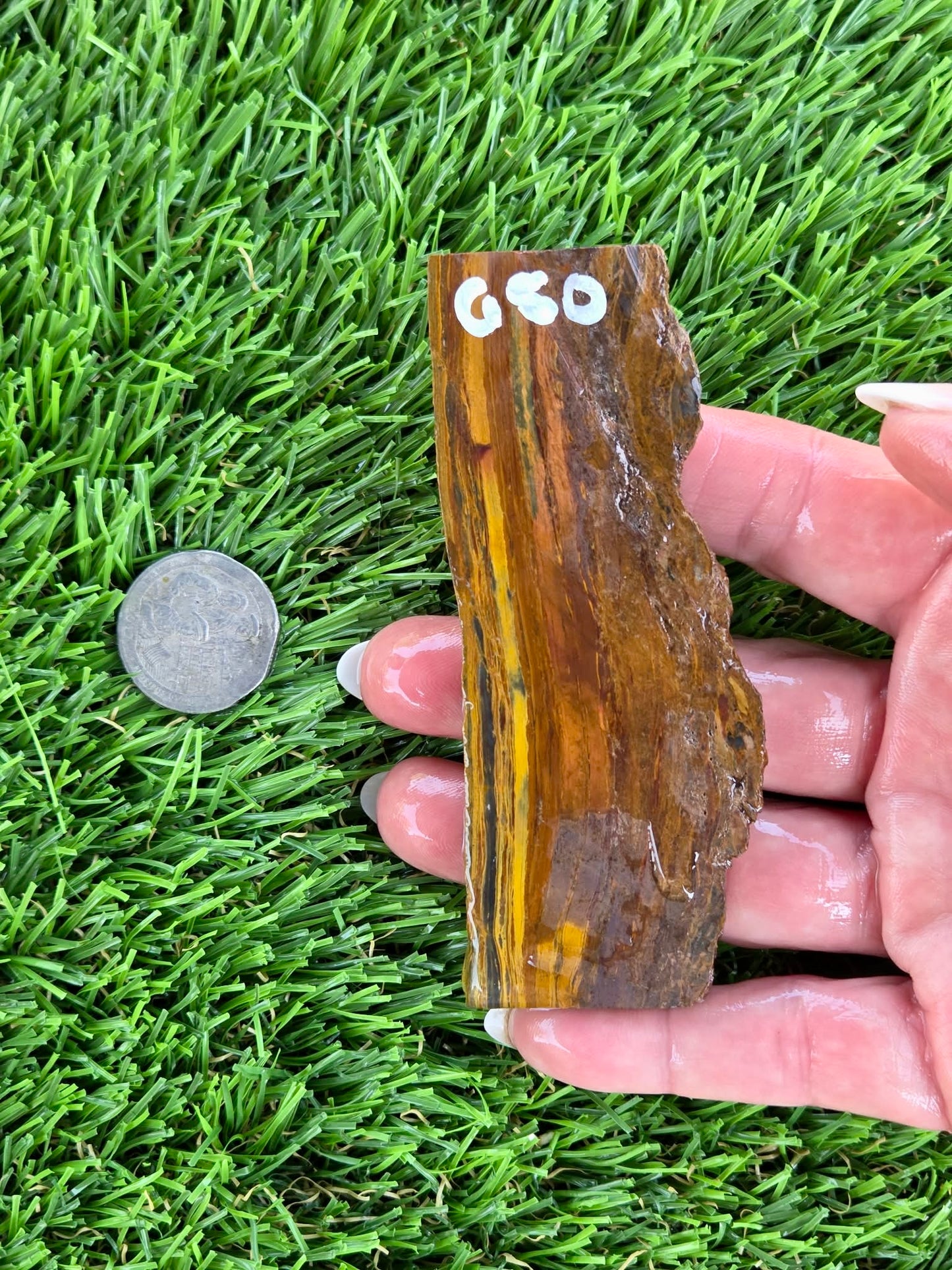 Golden Tiger’s Eye Slabs N650-651