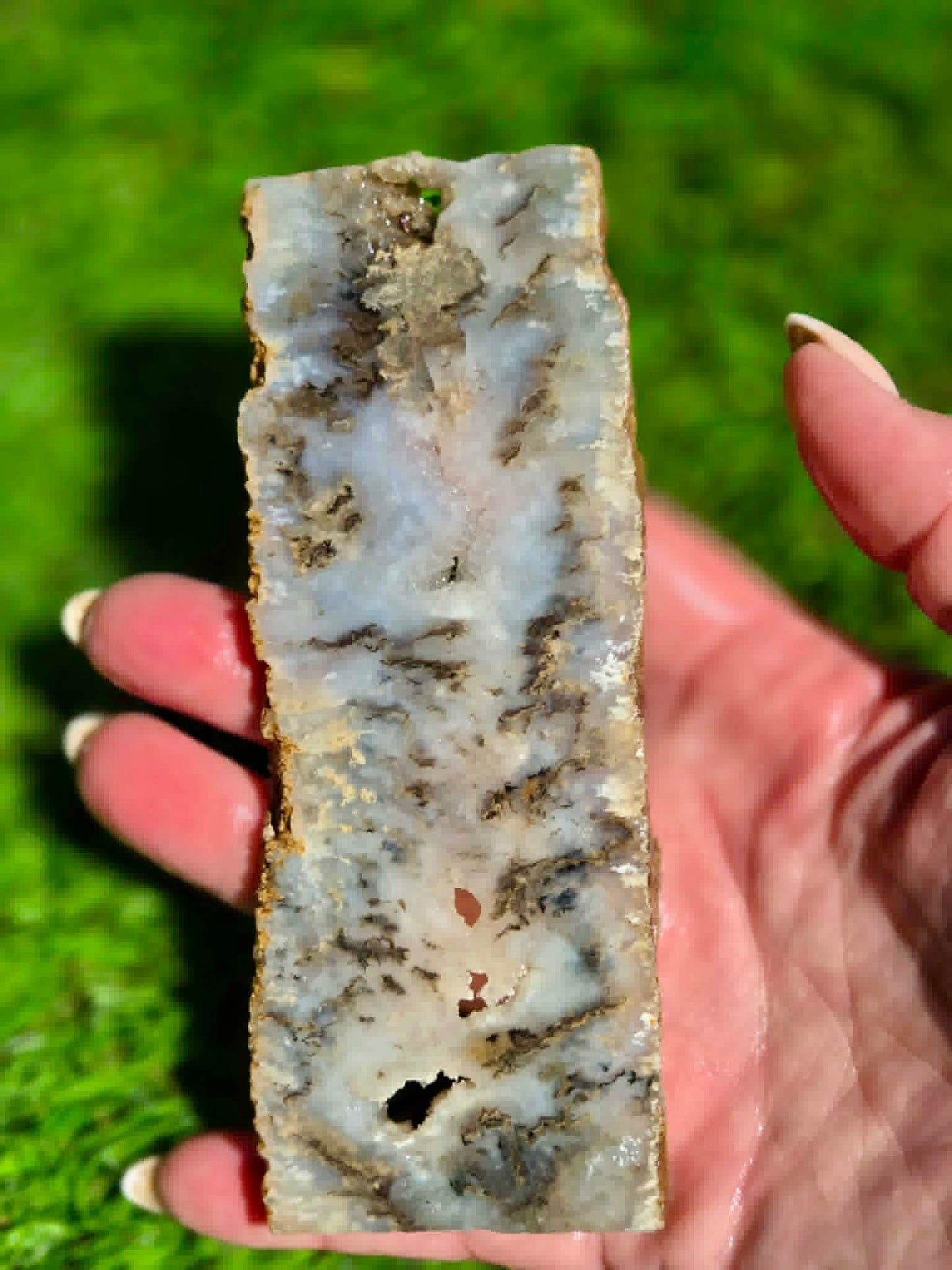 Graveyard Point Agate Slabs H379-384