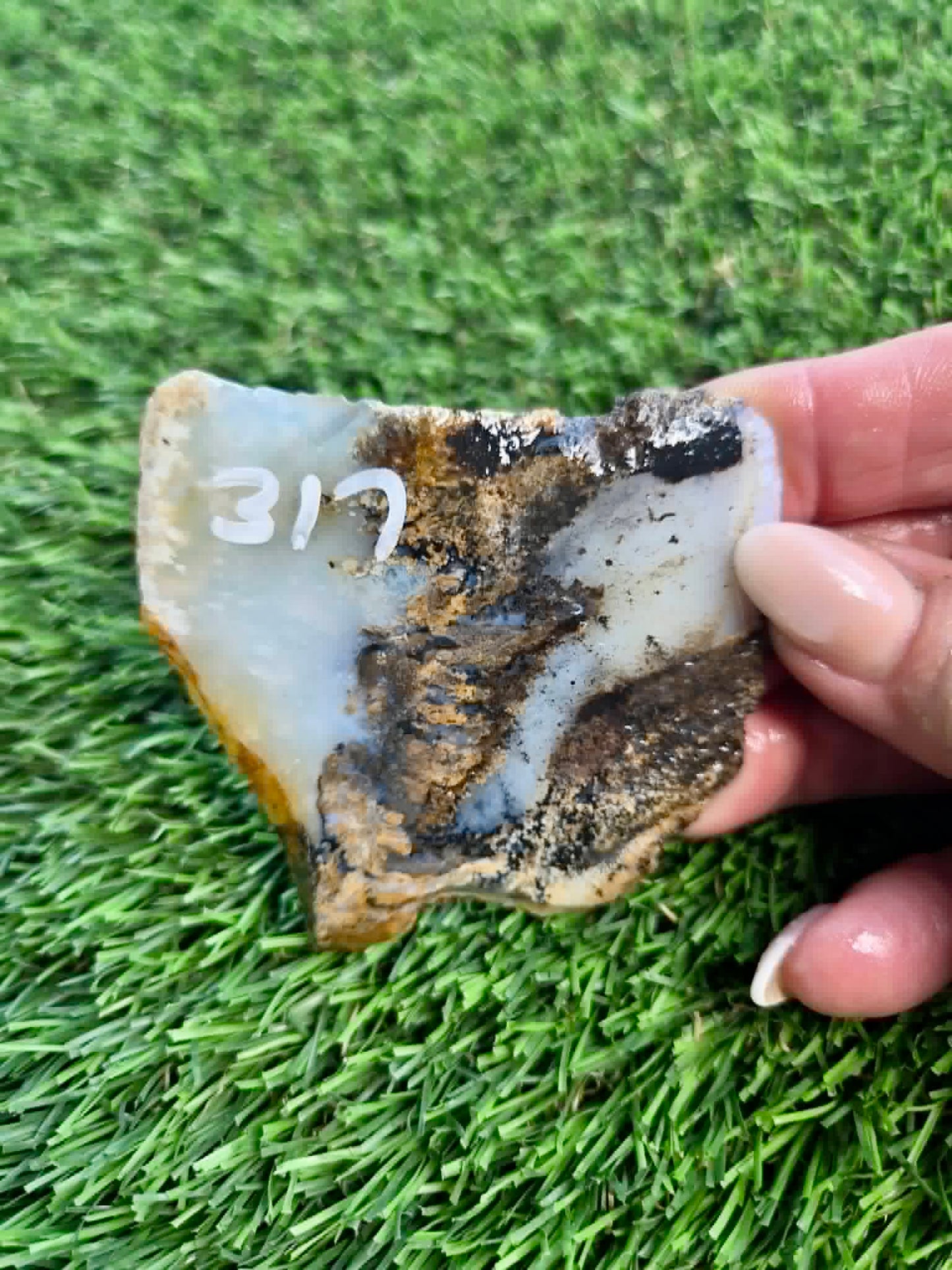 Graveyard Point Plume Agate Slabs G317-322