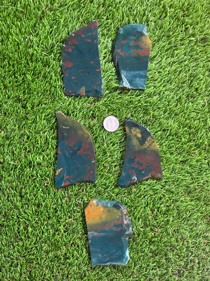 Indonesian Bloodstone Jasper Slabs O762-766