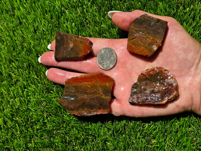 Agate Moss – Camp Verde Slab Bundle SB100
