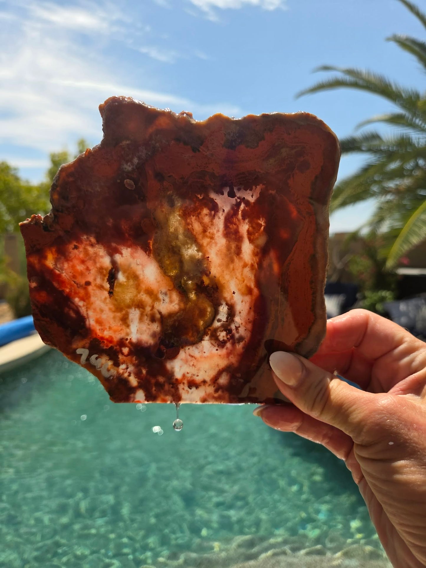 Red Carnelian Fortification Agate Slabs Q794–796