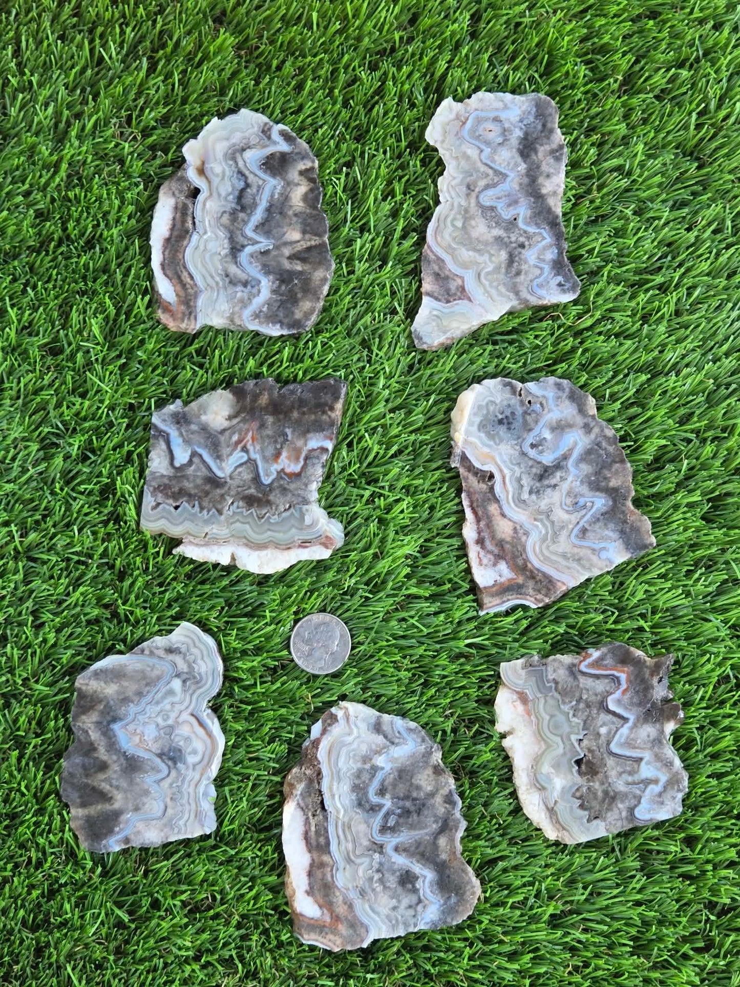 Gray Banded Crazy Lace Agate Slabs O717–723