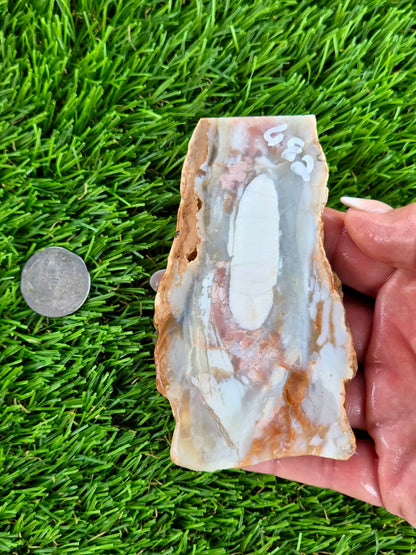 Peach, Cream & Gray Banded Agate Slabs N678-683