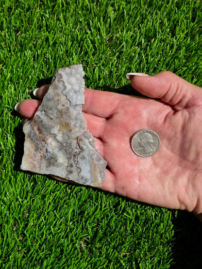 Crazy Lace Agate with Crystal Pockets Slabs O731–735