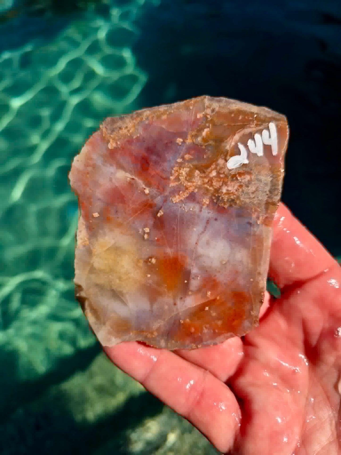 Arizona Rainbow Petrified Wood Slab 240-244