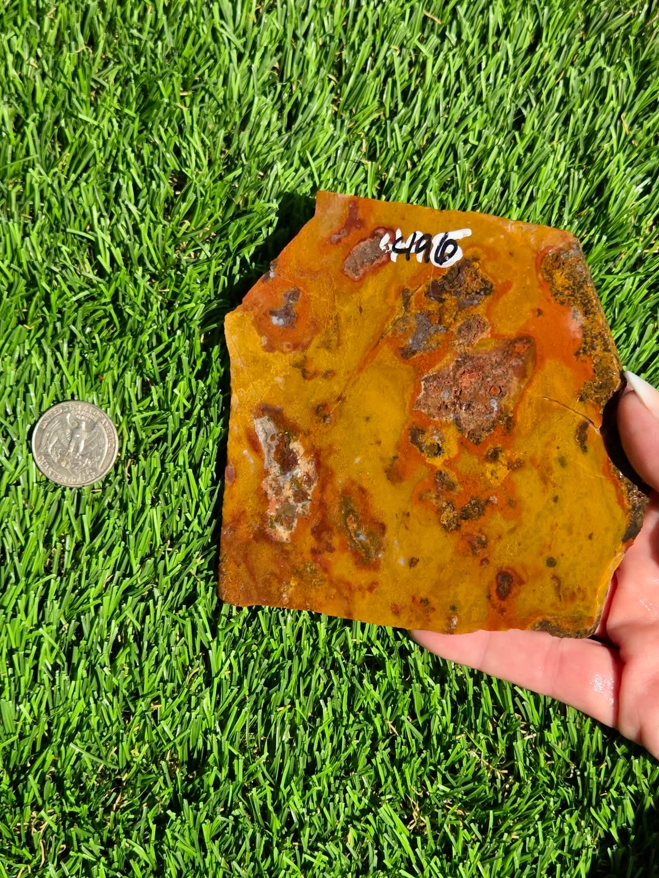 Arizona Jasper Agate Slabs J495-496