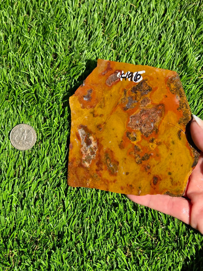 Arizona Jasper Agate Slabs J495-496