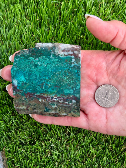 Globe Chrysocolla & Malachite Slabs V985–990