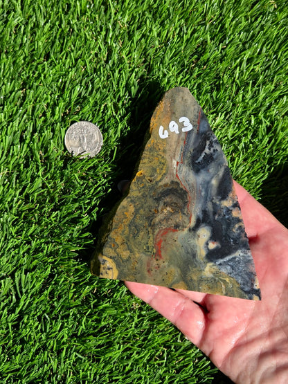 Indonesian Banded Hematite Slabs O693-698