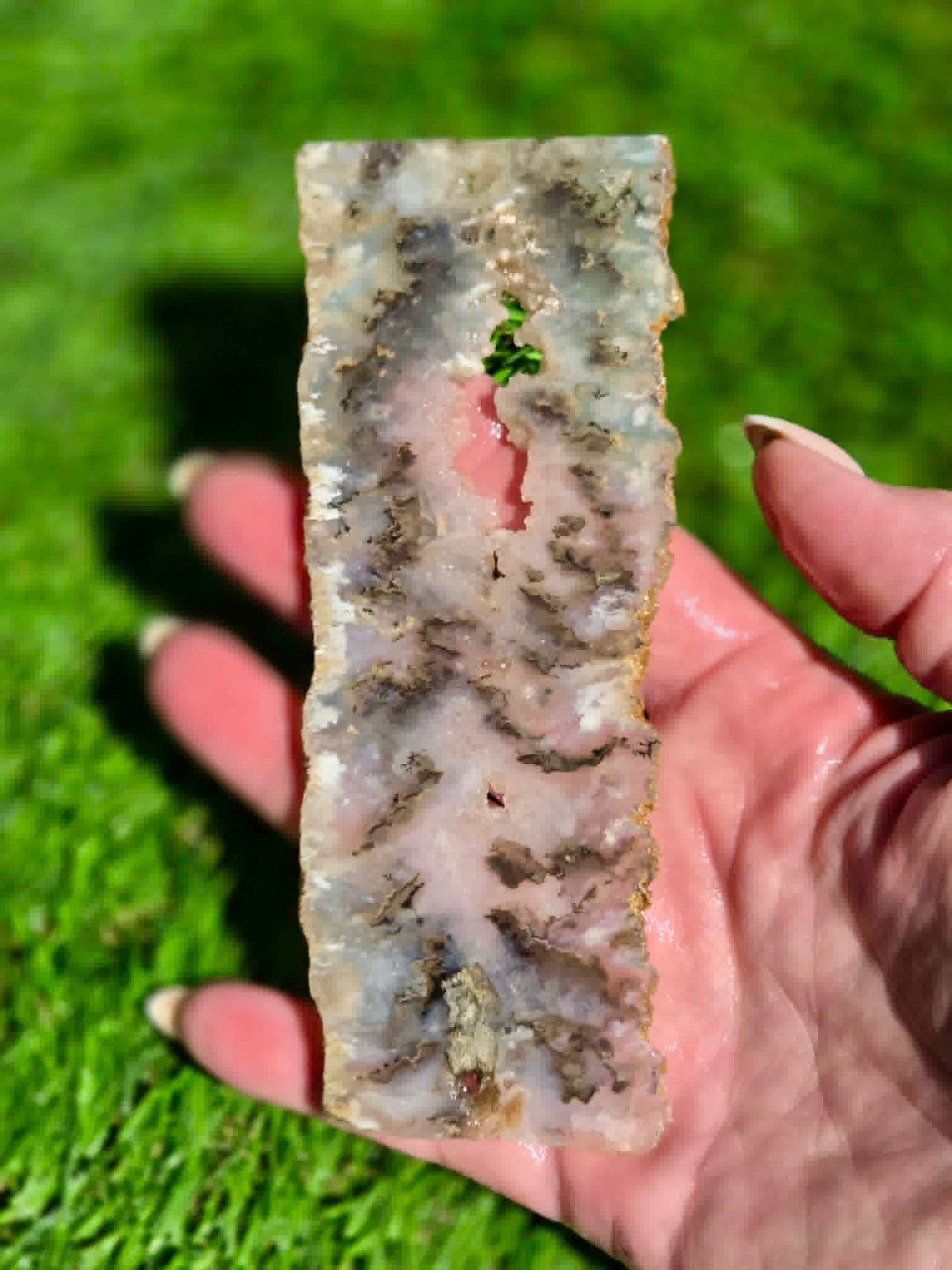 Graveyard Point Agate Slabs H379-384