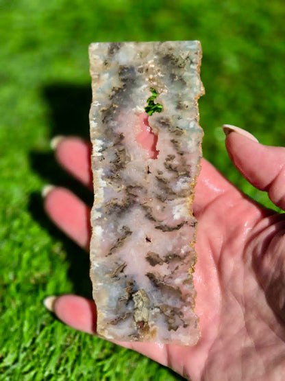 Graveyard Point Agate Slabs H379-384