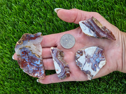 Camp Verde Agate Slab Bundle SB20