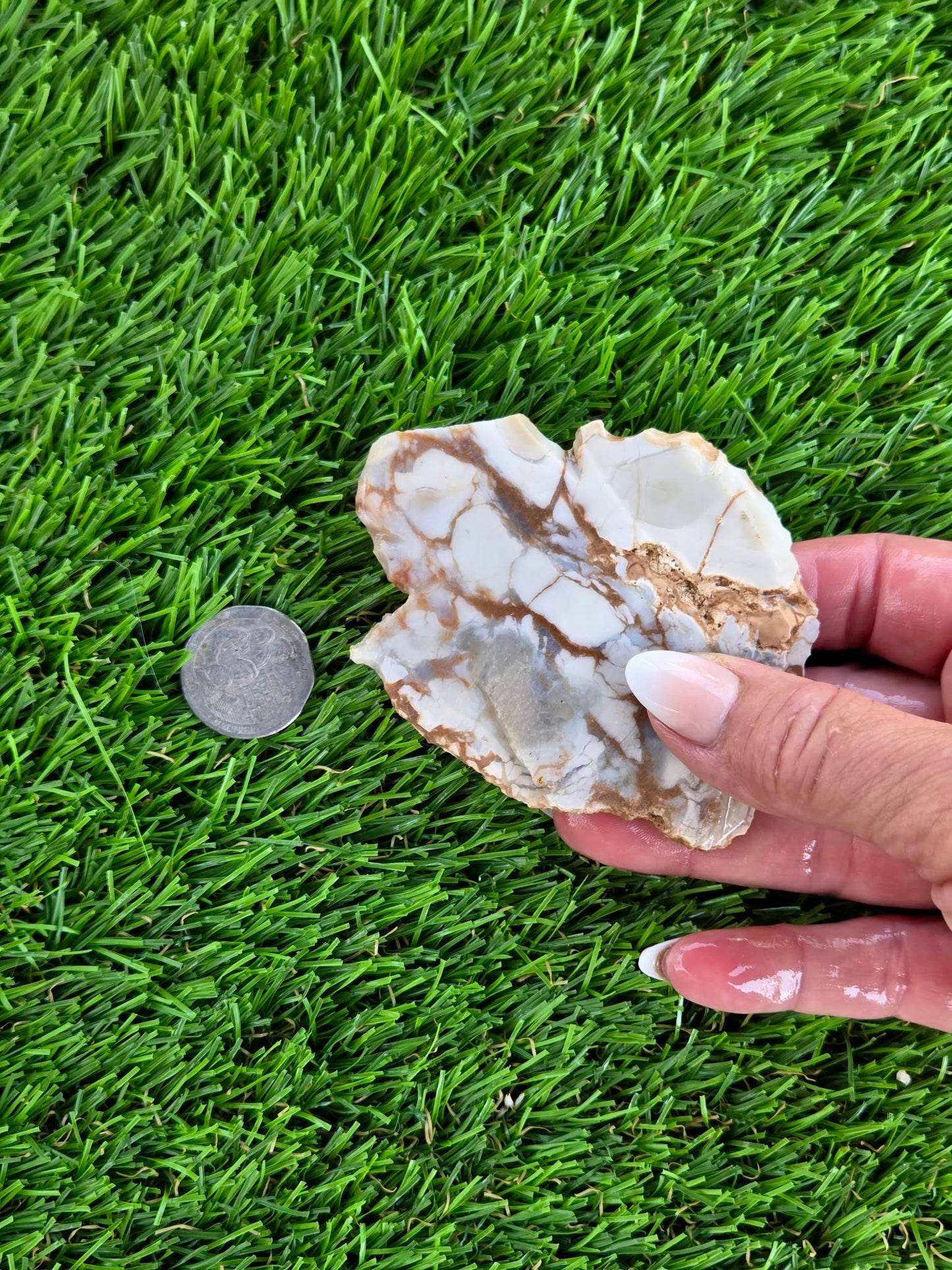 Natural Brecciated Jasper Slabs N645-649