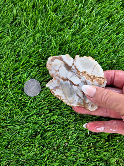 Natural Brecciated Jasper Slabs N645-649
