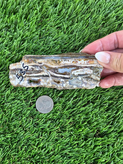 Camp Verde Agate Slabs  K534-537