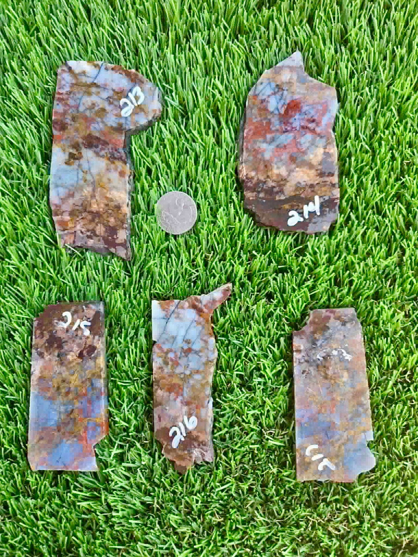 Utah Rainbow Jasper Slab 213-217