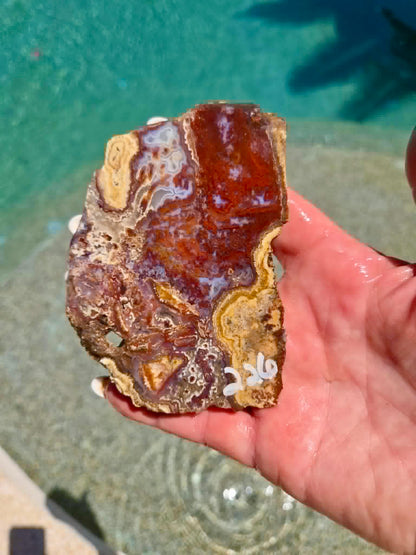 Camp Verde Agate Slab 225-231