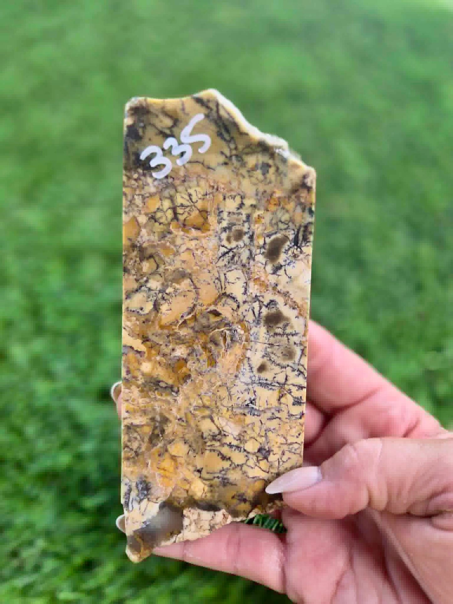 Dendritic Jasper Slabs G335-337