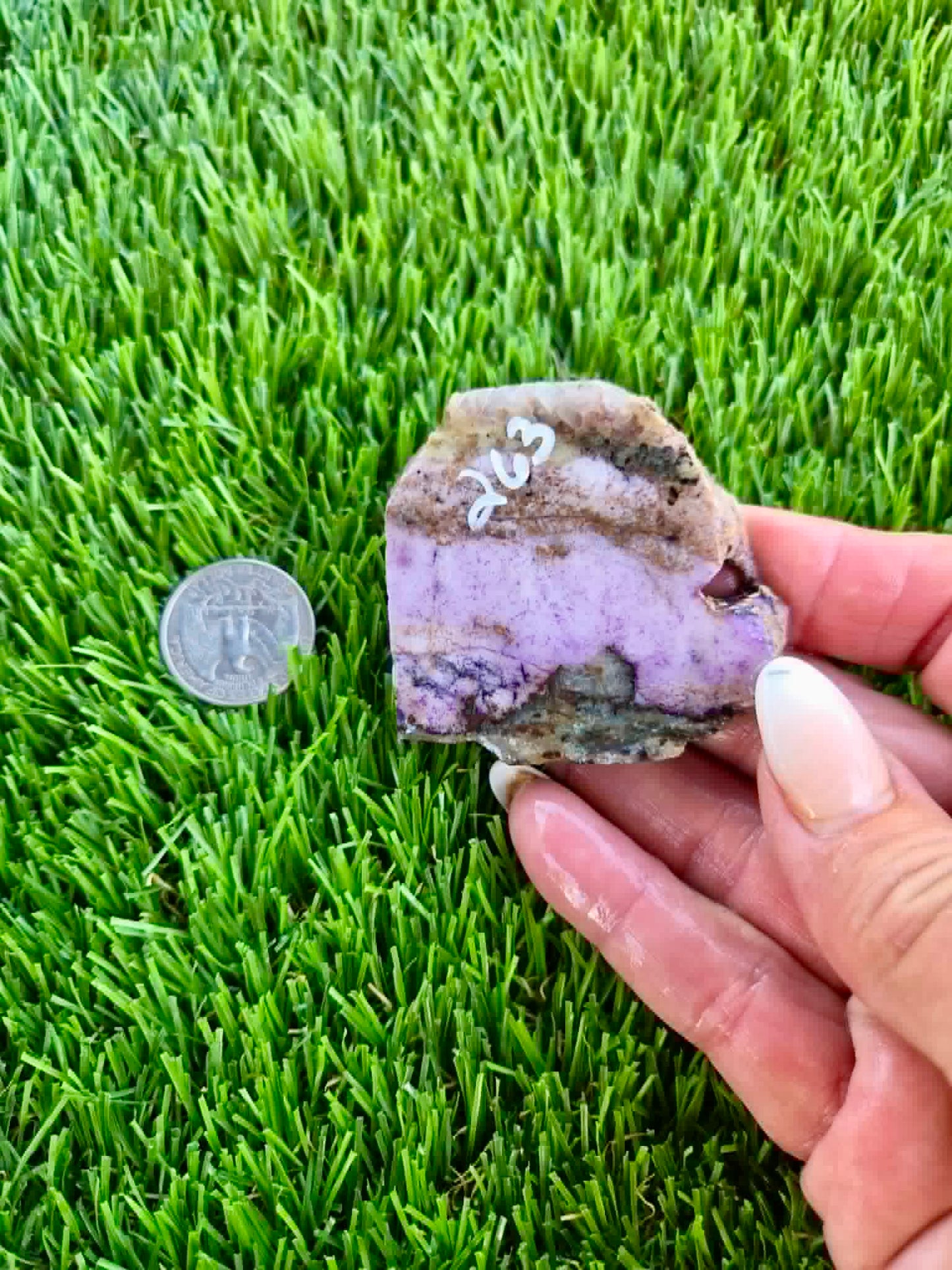 Purple Burro Creek Agate Slab 263-269