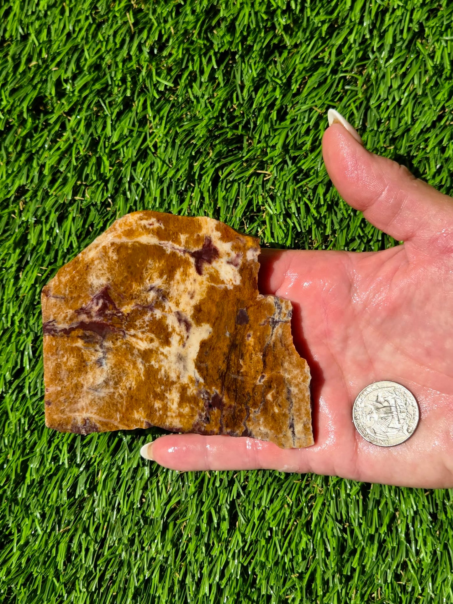 Burro Creek Jasper Slabs R841–847