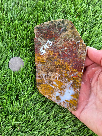 Camp Verde Moss Agate Slabs M591-594