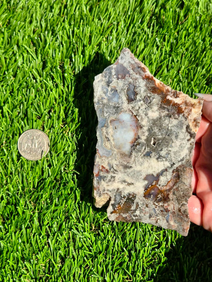 Camp Verde Agate J503-505