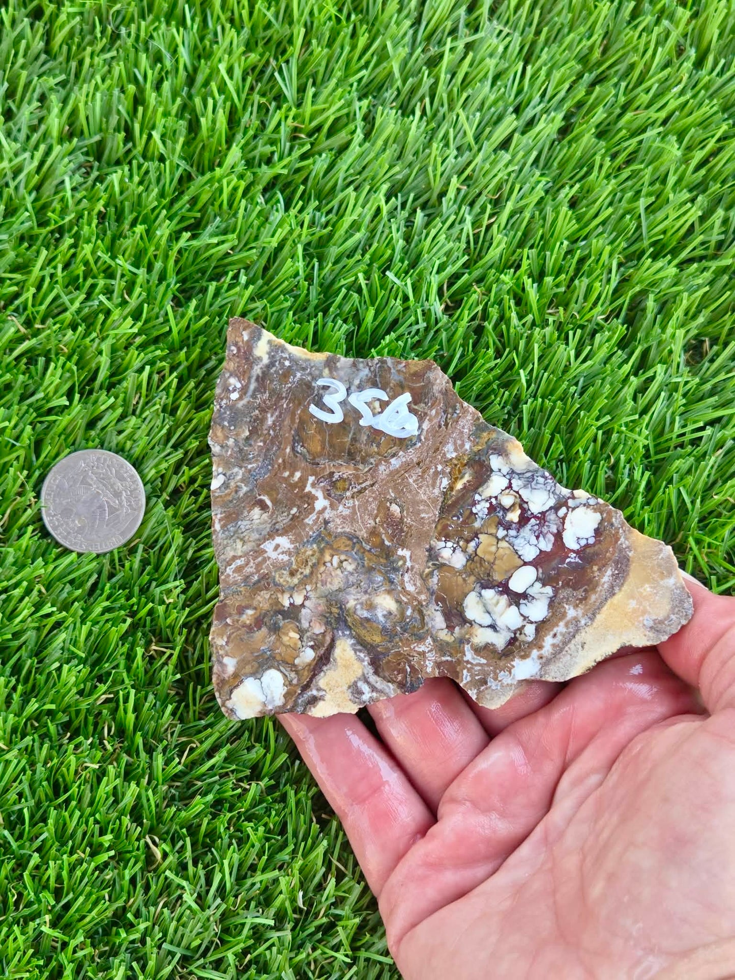 Wild Horse Jasper Slabs G354-359
