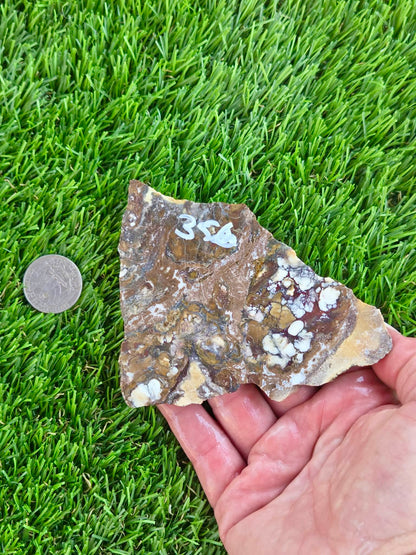 Wild Horse Jasper Slabs G354-359