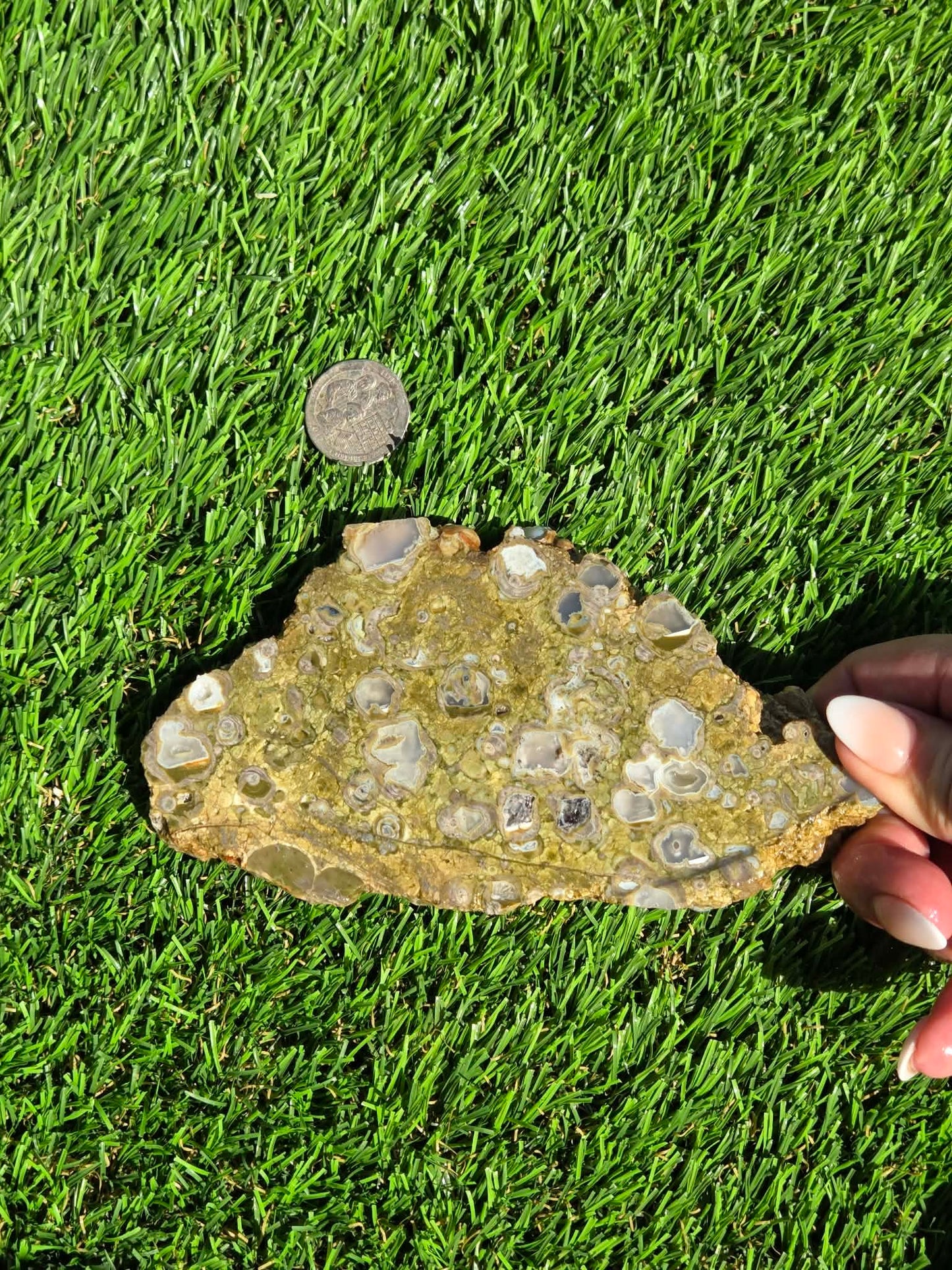 Green Mushroom Rhyolite M630-638